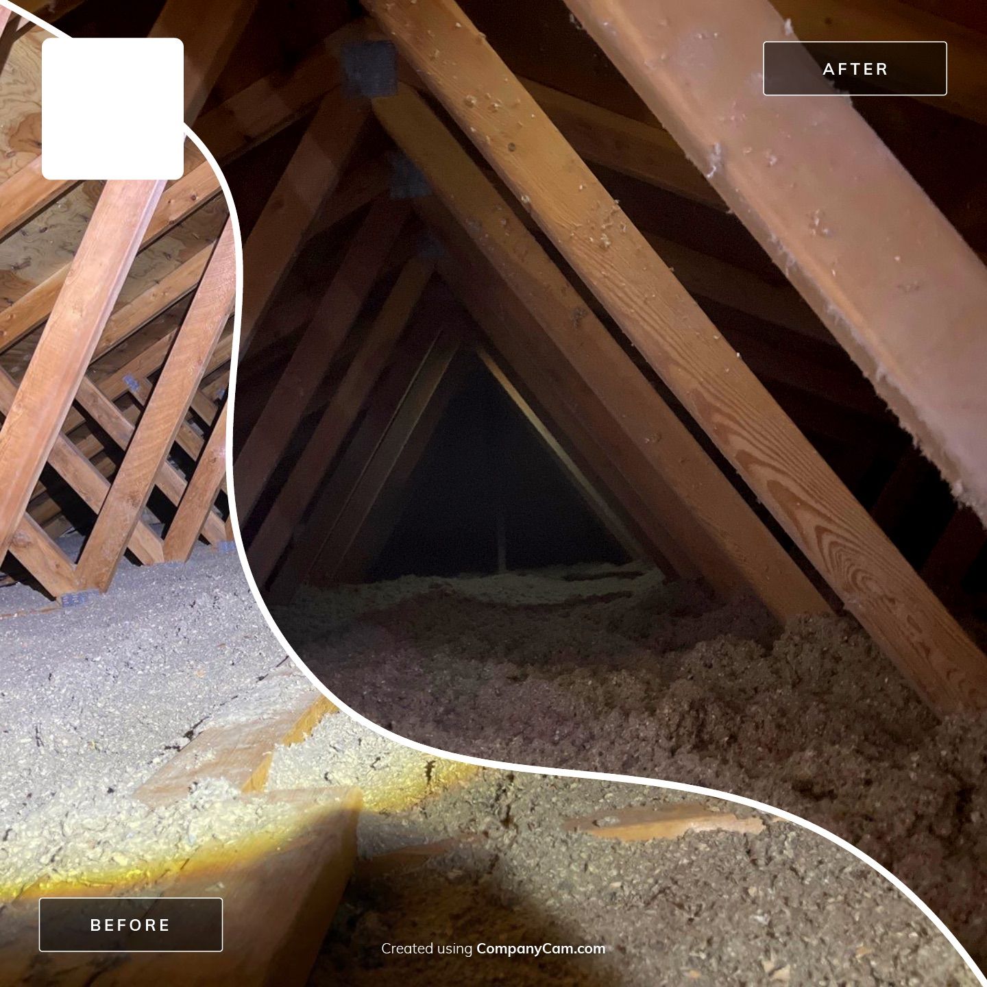 Blown Cellulose Photo