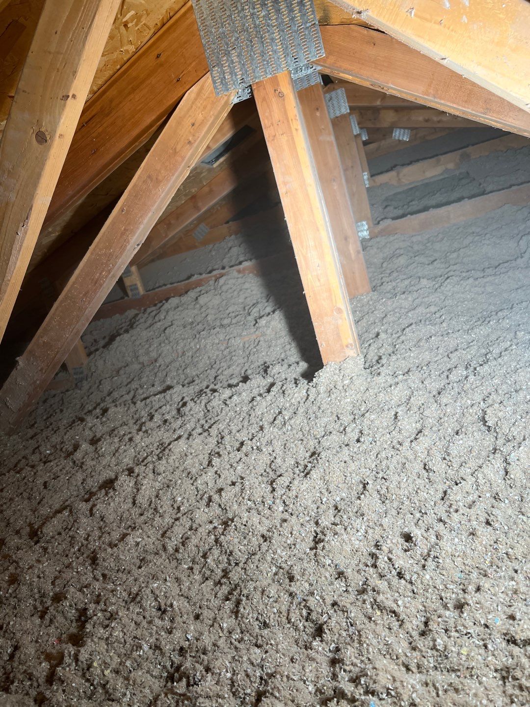 Blown Cellulose Photo